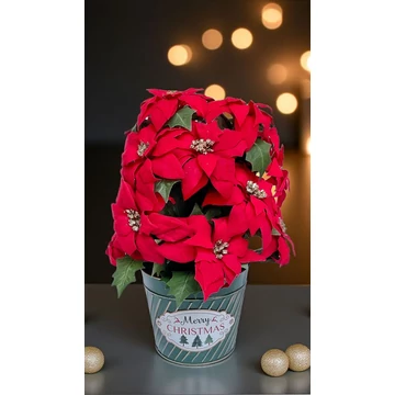 Elegáns tartós ünnepi dekoráció,  mikulásvirág