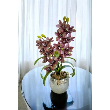 2 ágú lila Orchidea asztaldísz