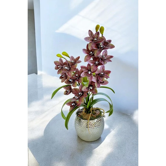 2 ágú lila Orchidea asztaldísz