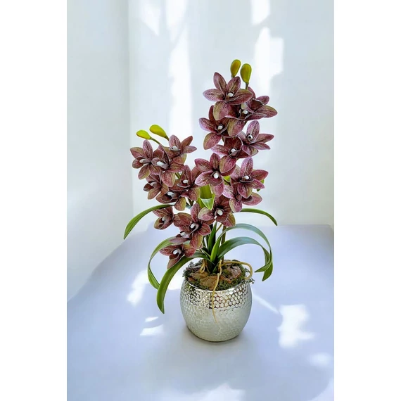 2 ágú lila Orchidea asztaldísz