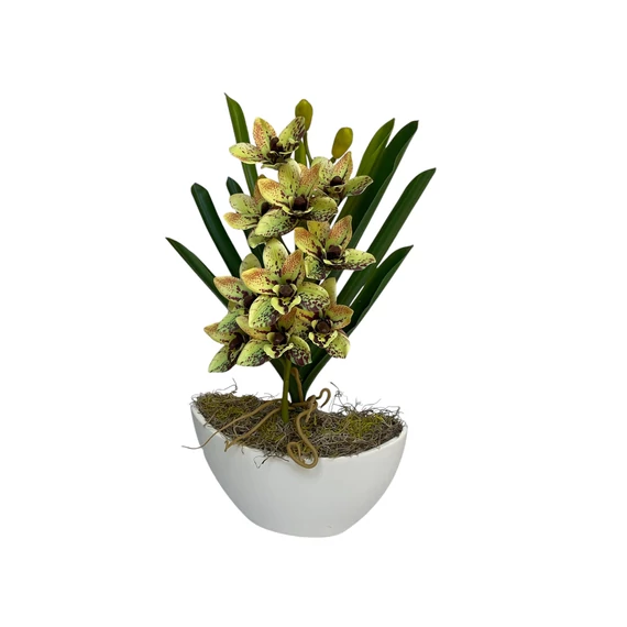 Különleges Orchidea asztaldísz