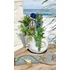 Beach asztaldisz