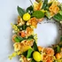 Trópusi citrus kopogtató 