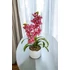 Prémium minőségű orchidea asztaldísz real touch