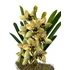 Különleges Orchidea asztaldísz